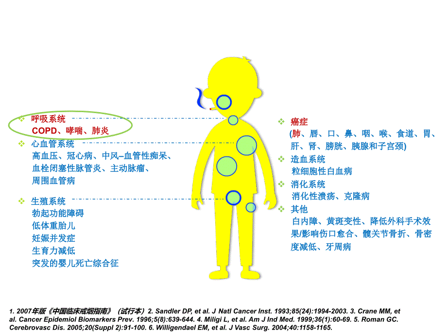 治病先戒烟--呼吸篇_第4页