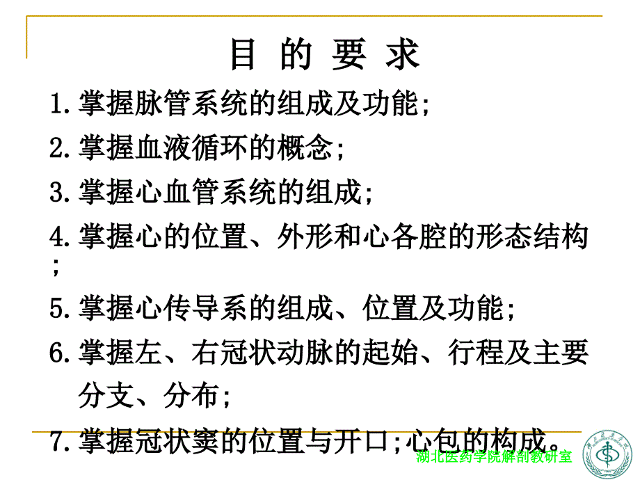 系统解剖学PPT课件------心_第2页