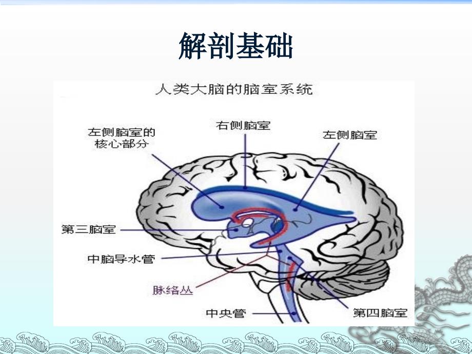 侧脑室穿刺术 课件_第3页