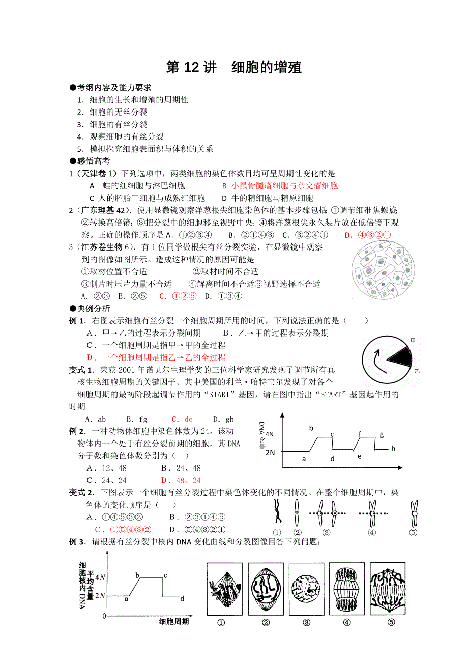 高考生物必修1精品复习题12：细胞的增殖_第1页