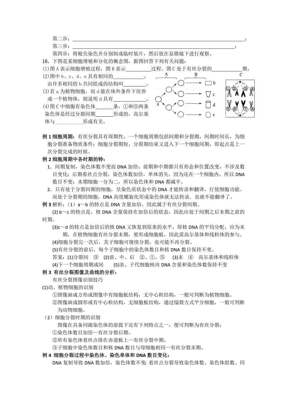 高考生物必修1精品复习题12：细胞的增殖_第5页