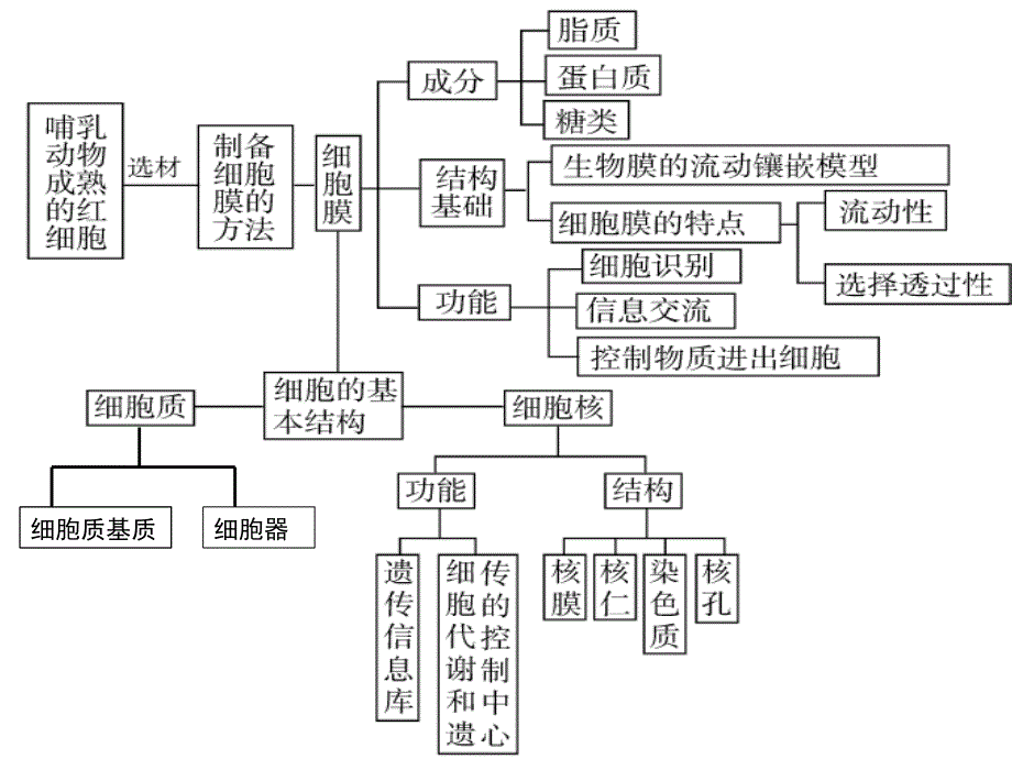 3.1细胞膜——系统的边界_第2页