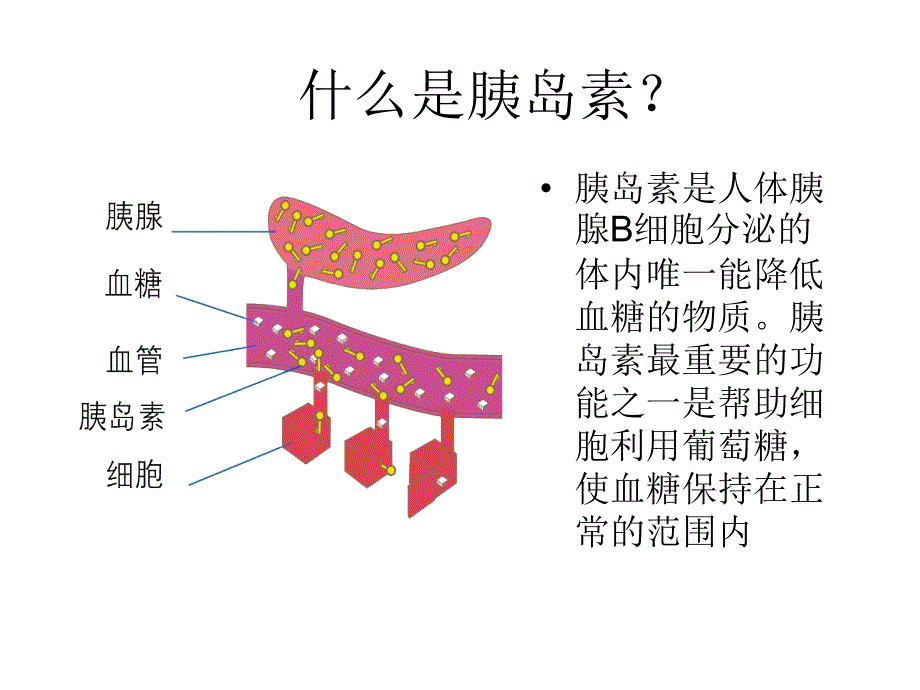 胰岛素制剂及合理应用_第2页