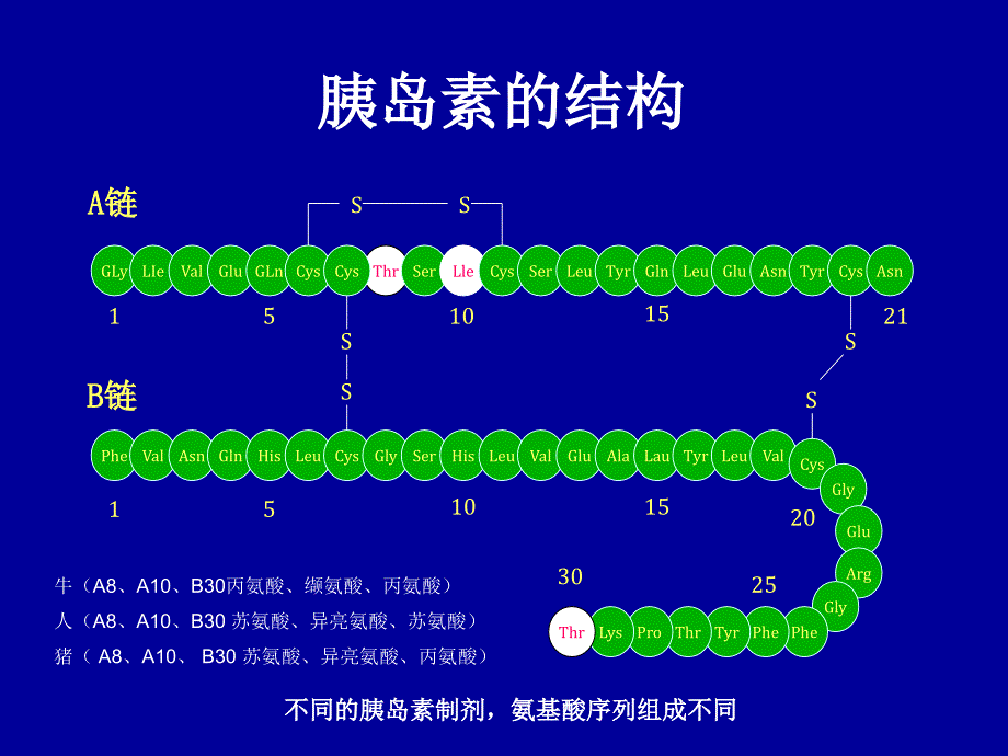 胰岛素制剂及合理应用_第4页