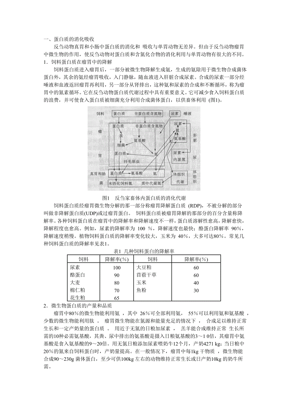 反刍动物的消化吸收特点_第1页