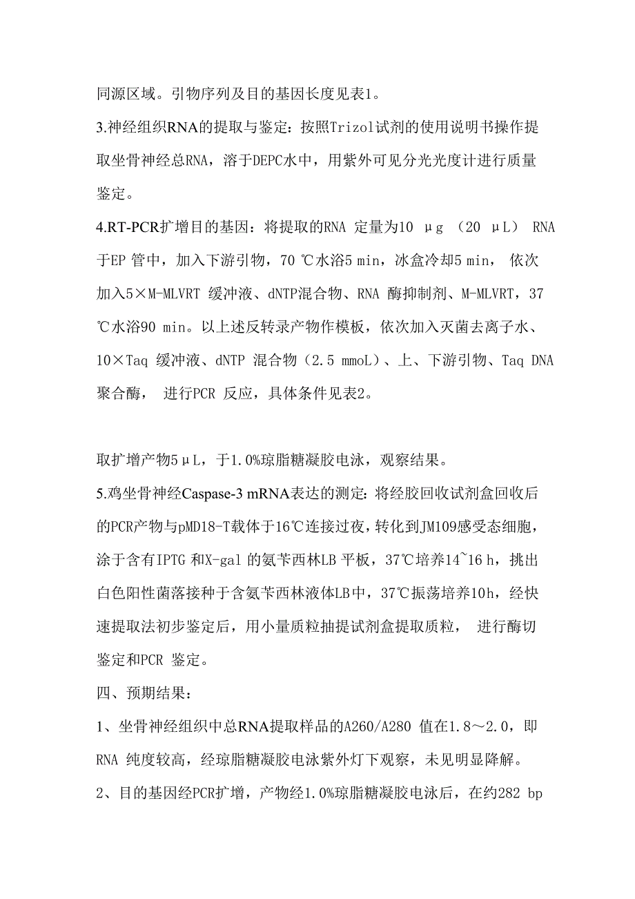 RT-PCR法检测TOCP染毒母鸡坐骨神经Caspase-3 mRNA 的表达_第4页