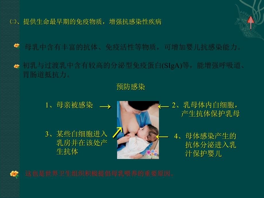 母乳喂养相关知识暨产科促进母乳喂养的规定_第5页