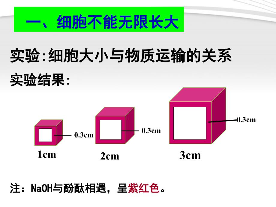 细胞的增殖课件_第4页