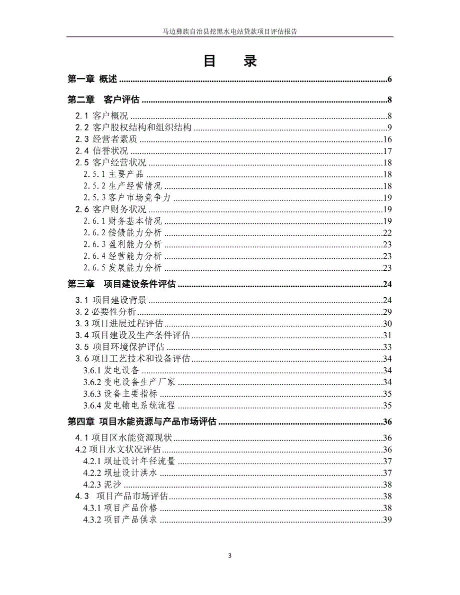 项目贷款评估报告案例_第3页