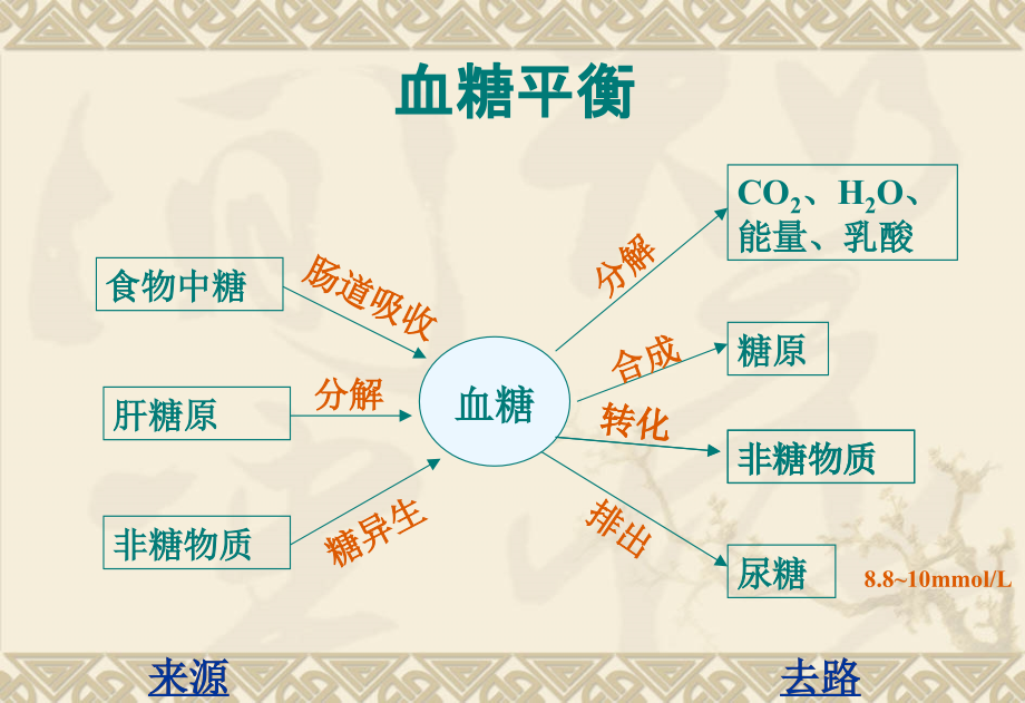 营养与糖尿病课件_第3页