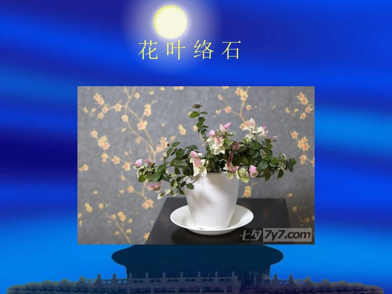 适合室内摆放的植物_第2页