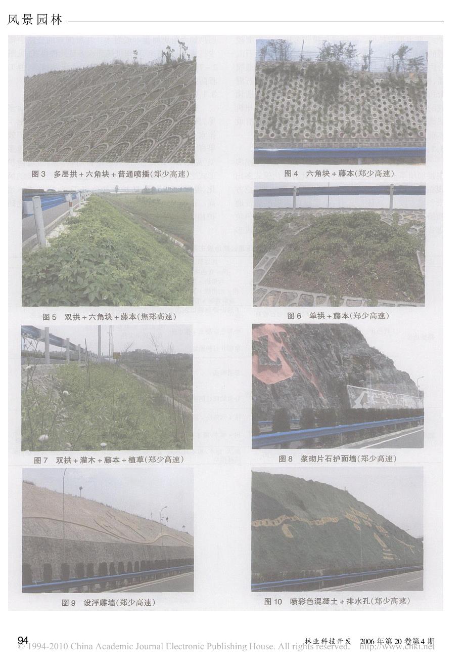 河南省高速公路边坡绿化模式调查_第3页