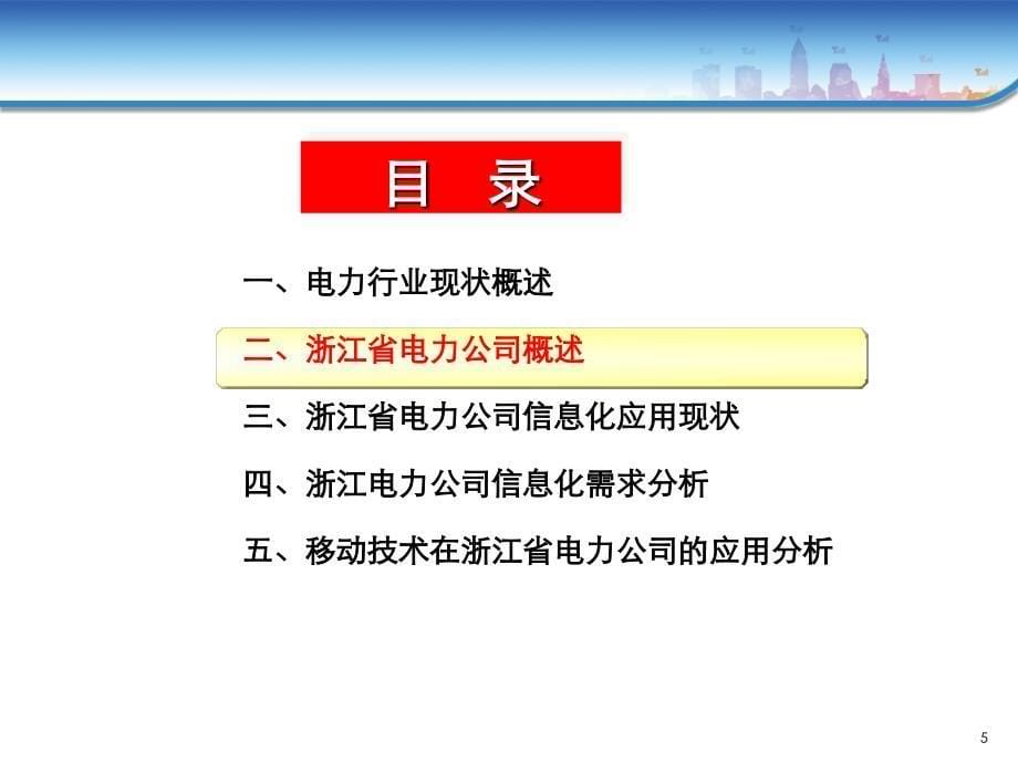 浙江省电力公司信息化规划报告_第5页