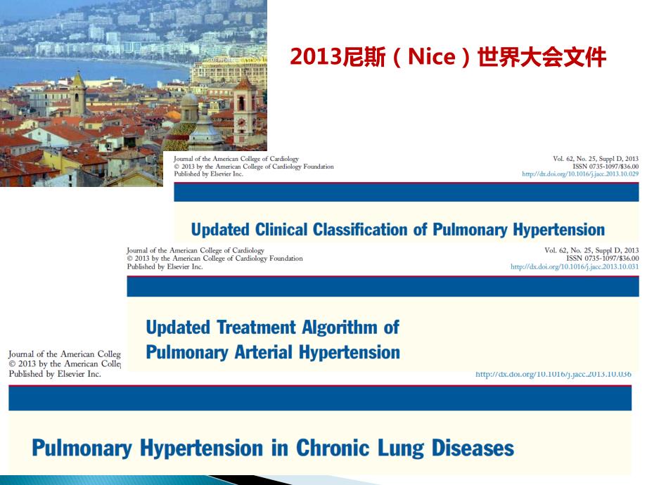 10-徐凯峰 肺动脉高压 ppt_第4页