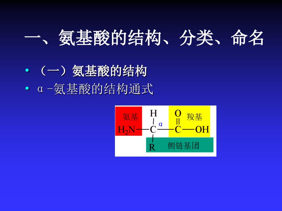 蛋白质--有机化合物基础课件_第3页