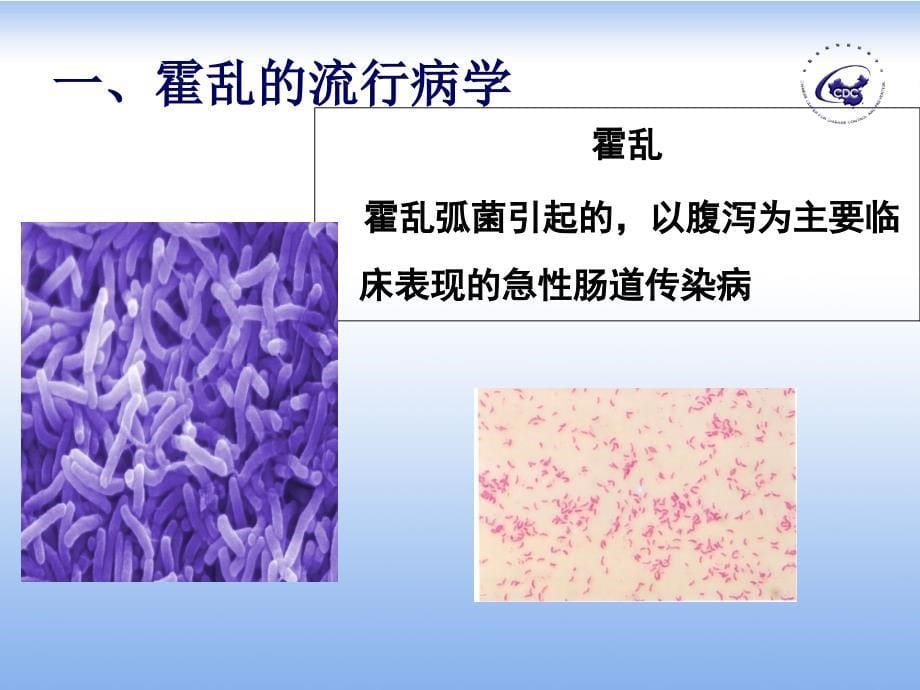 霍乱的流行病学及流行概况_第5页