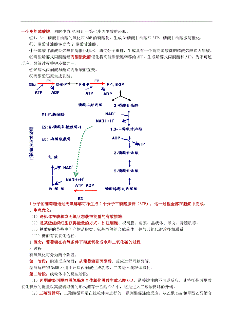 糖代谢紊乱及糖尿病的检查_第2页