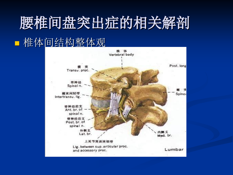 腰椎间盘突出症的诊断、鉴别诊断与分型_第3页