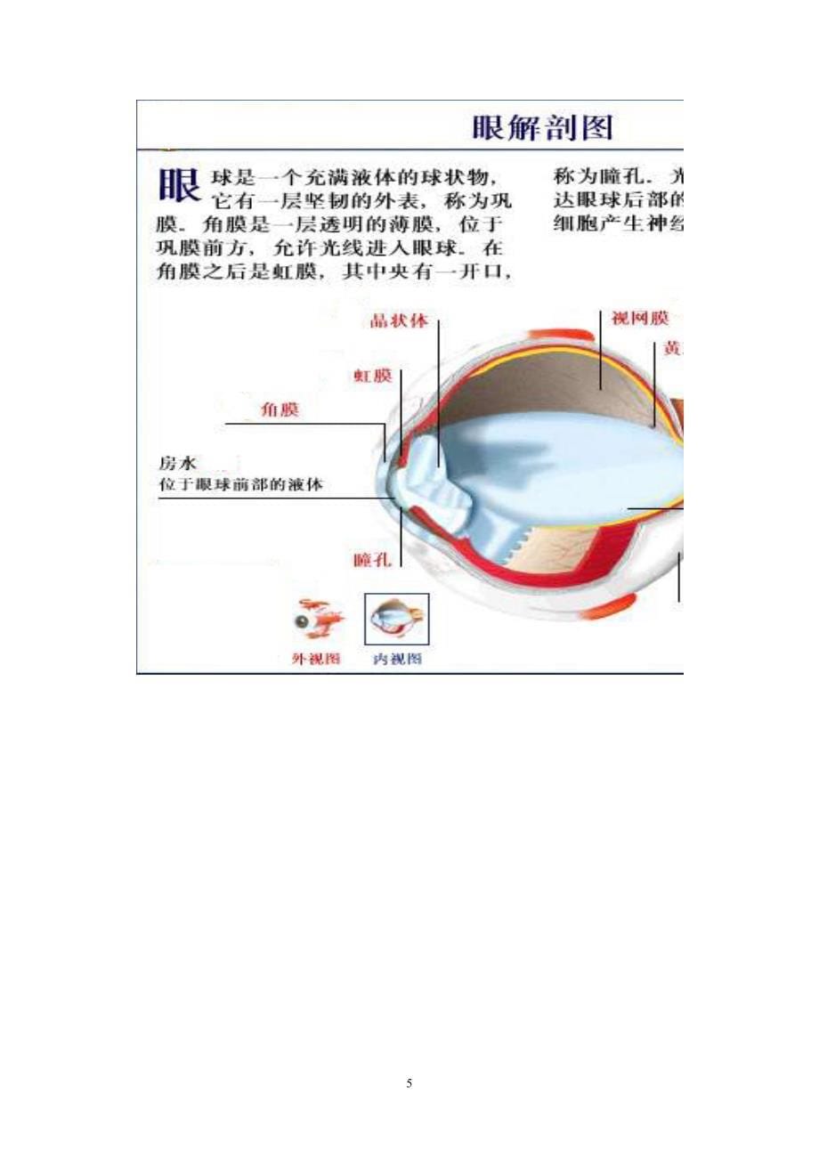 检眼镜的种类及应用方法_第5页