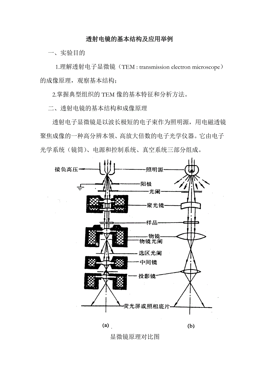 透射电镜的基本结构及应用举例_第1页