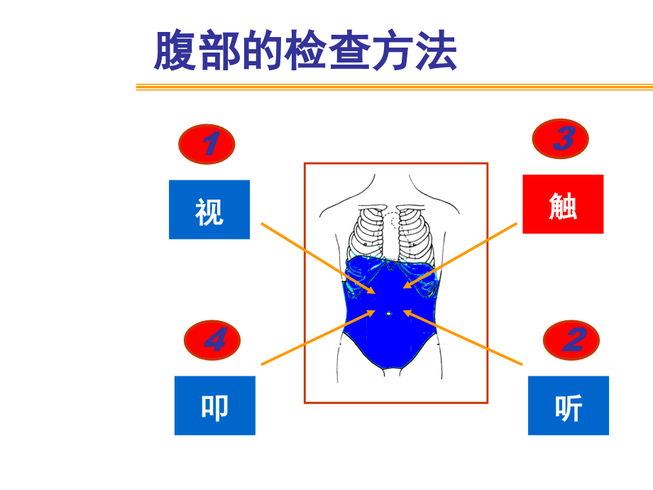 腹部体检课件_第3页