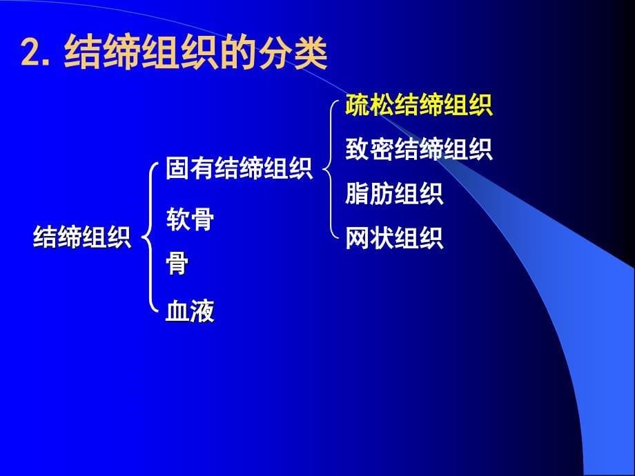 结缔组织医学课件_第5页