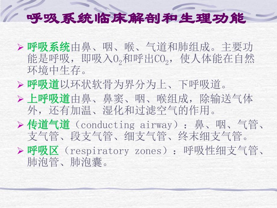 呼吸系统应用解剖和生理PPT课件_第2页