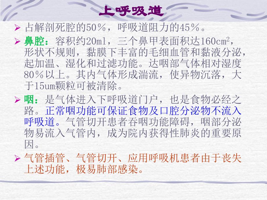 呼吸系统应用解剖和生理PPT课件_第3页