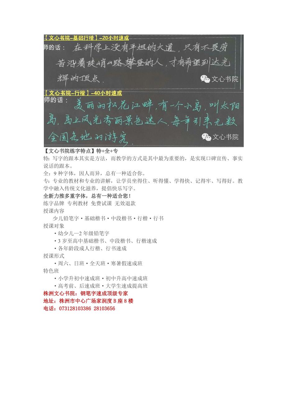 株洲文心书院教您写好钢笔字_第3页