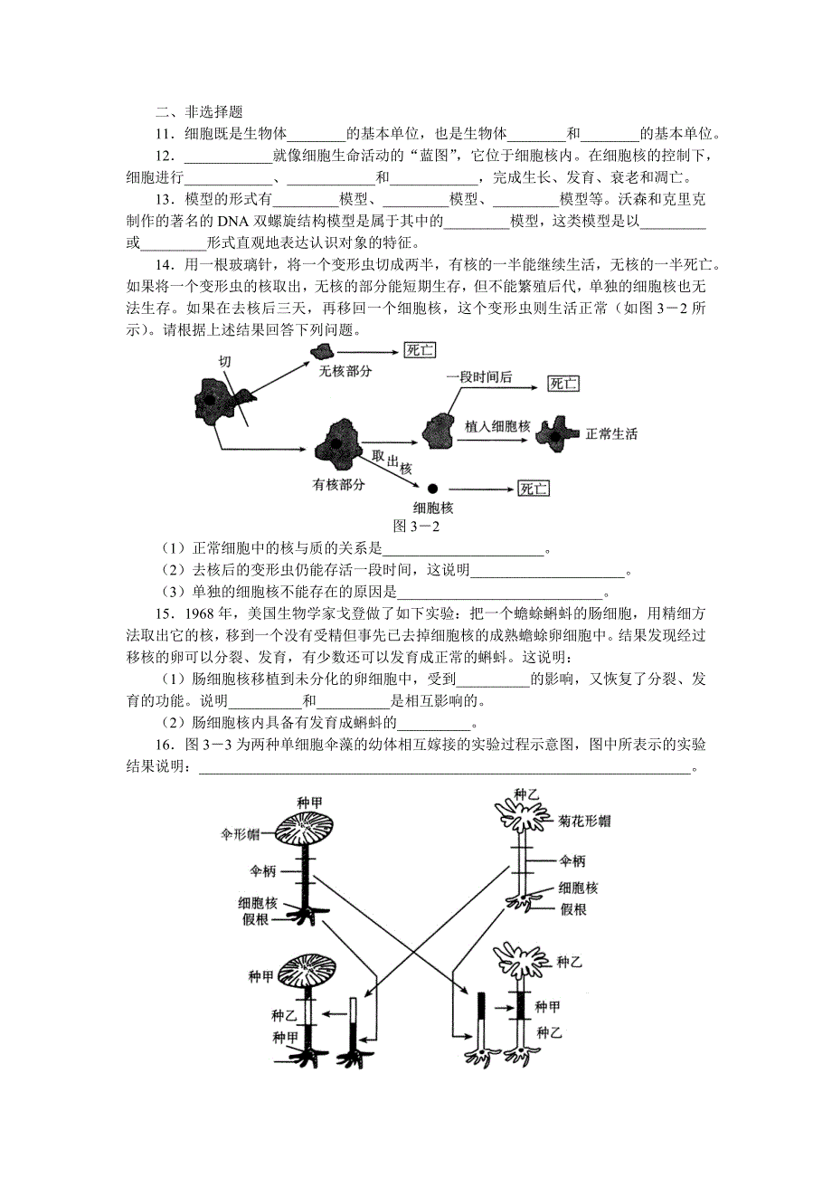 《细胞核――系统的控制中心》习题精选_第2页