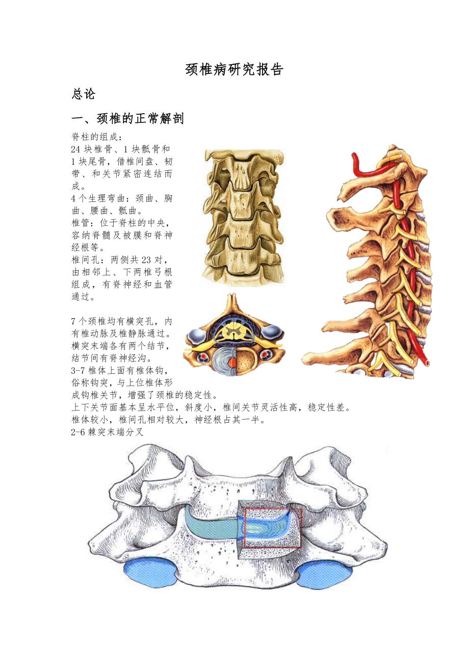 颈椎病研究报告_第1页
