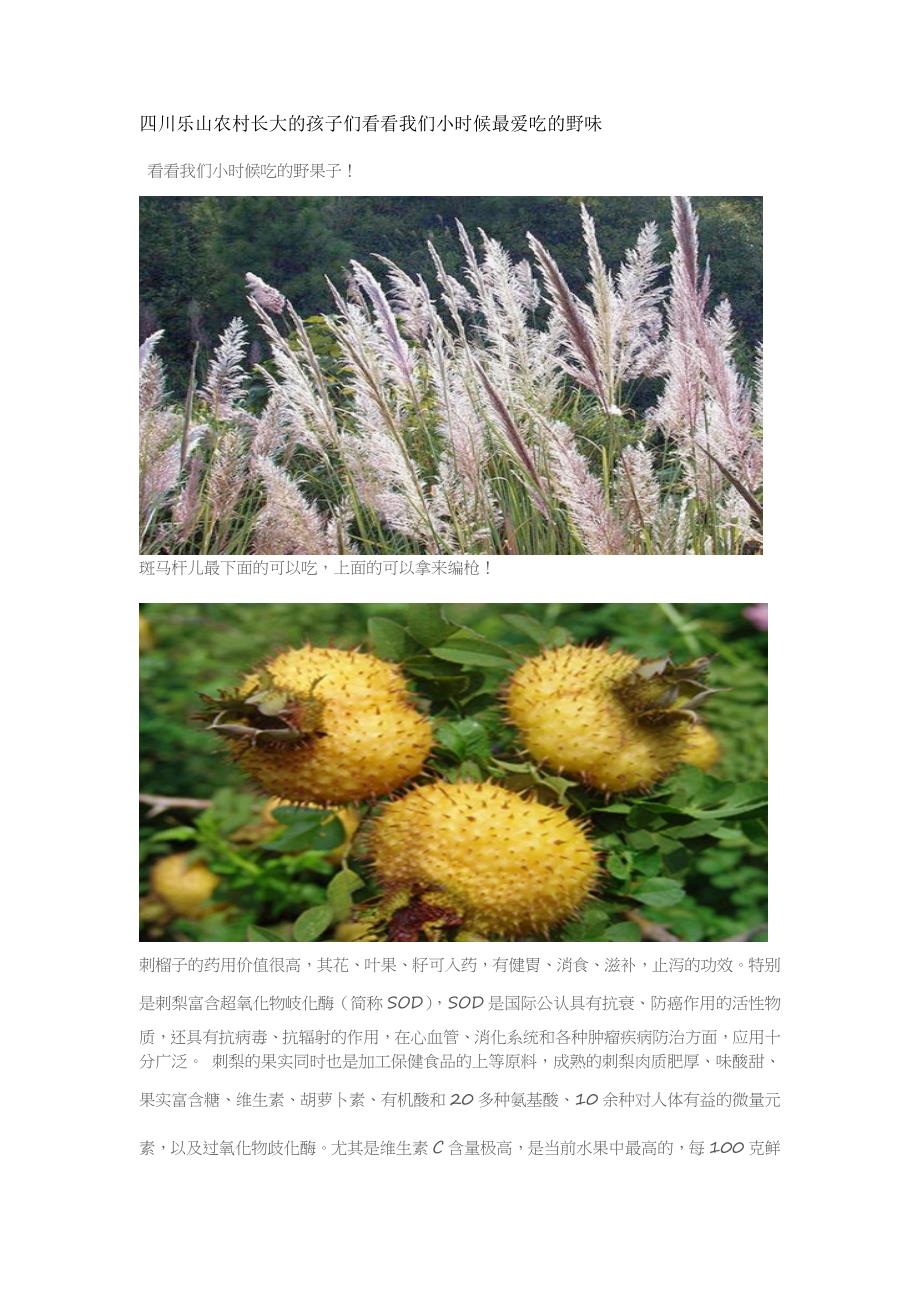 四川乐山农村长大的孩子们看看我们小时候最爱吃的野味_第1页