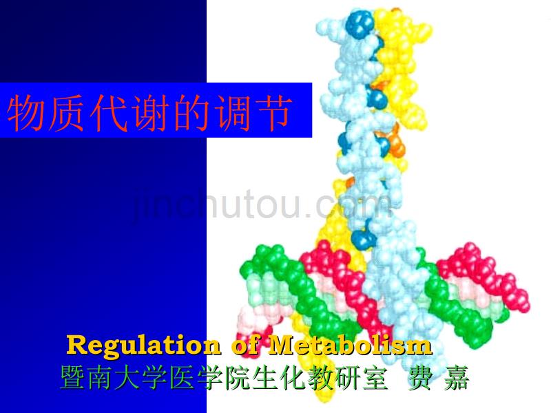 物质代谢的调节与联系_第1页