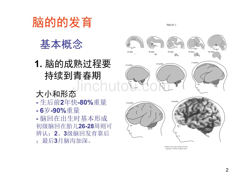 认知发育和脑老化_第2页