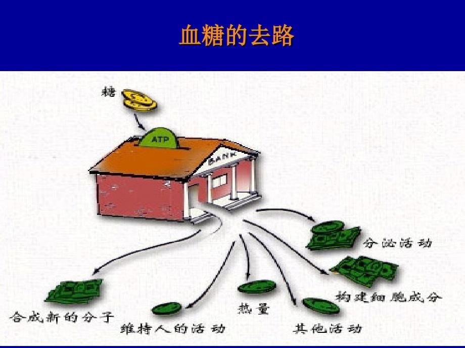 血糖、脂质、水电解质与酸碱平衡失调的实验诊断_第5页