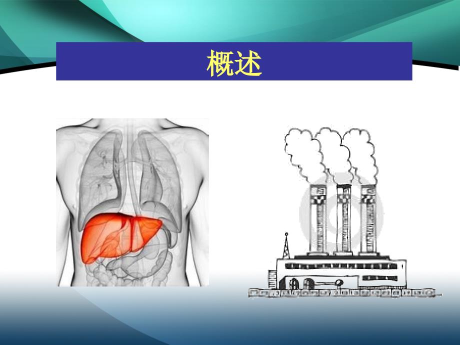 病毒性肝炎医学课件_第3页