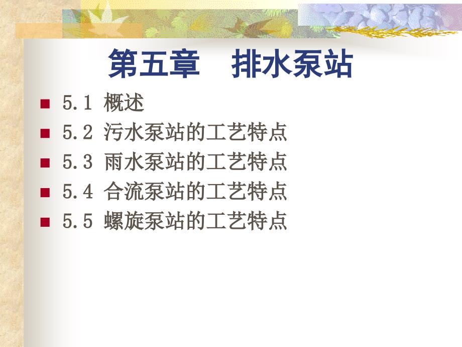 水泵与水泵站排水泵站_第1页