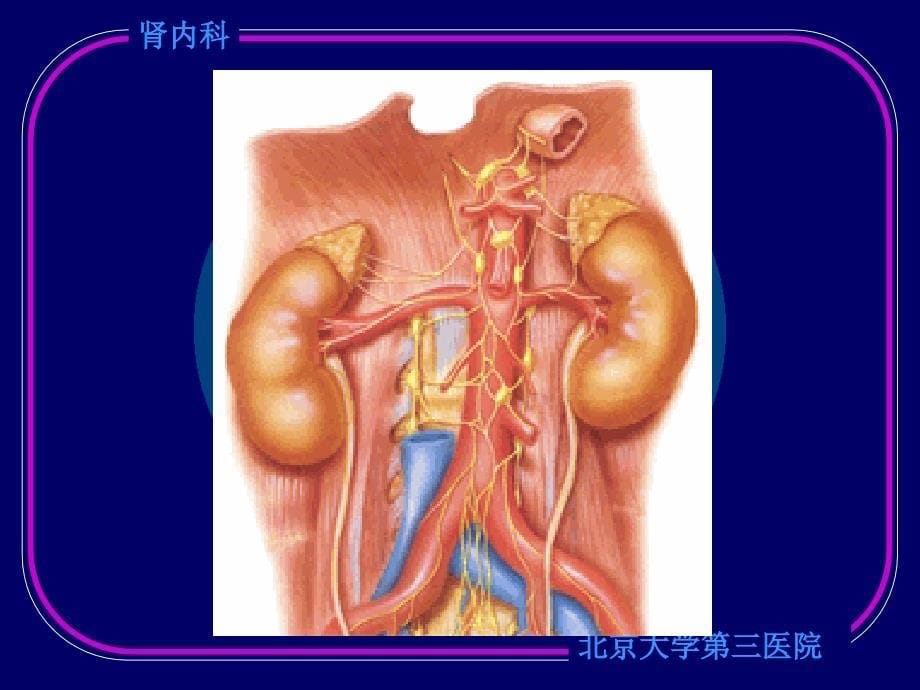 泌尿系统症状学培训课件_第5页