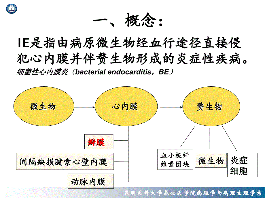 感染性心内膜炎课件_第1页