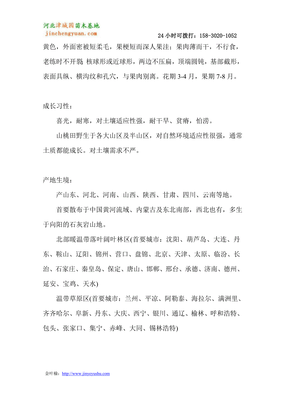 25公分山桃树价格 - 津城园苗木_第2页