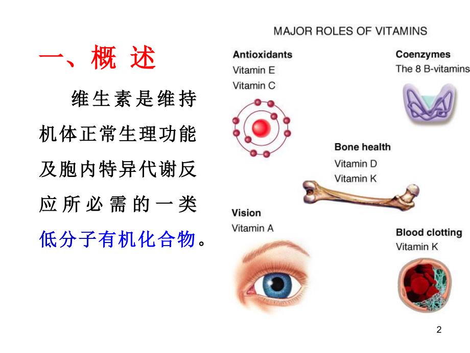 营养与健康之维生素_第2页