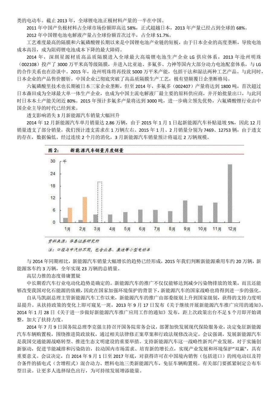 新能源汽车时代之中国突击_第5页