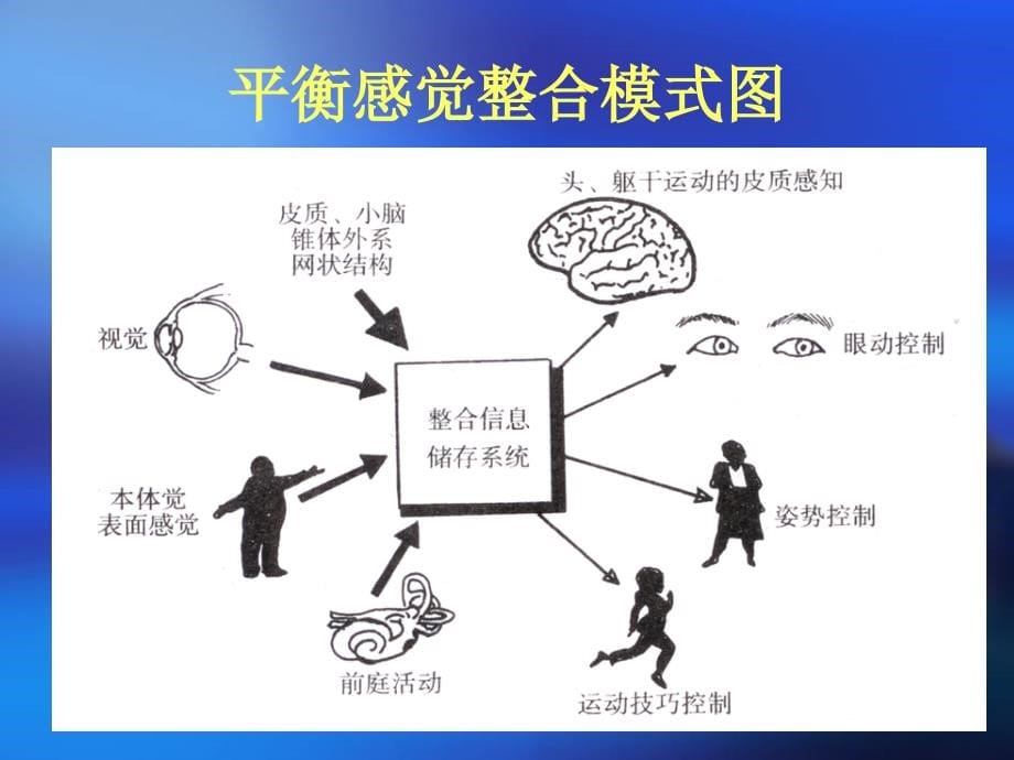 诊治引起头晕眩晕疾病课件_第5页