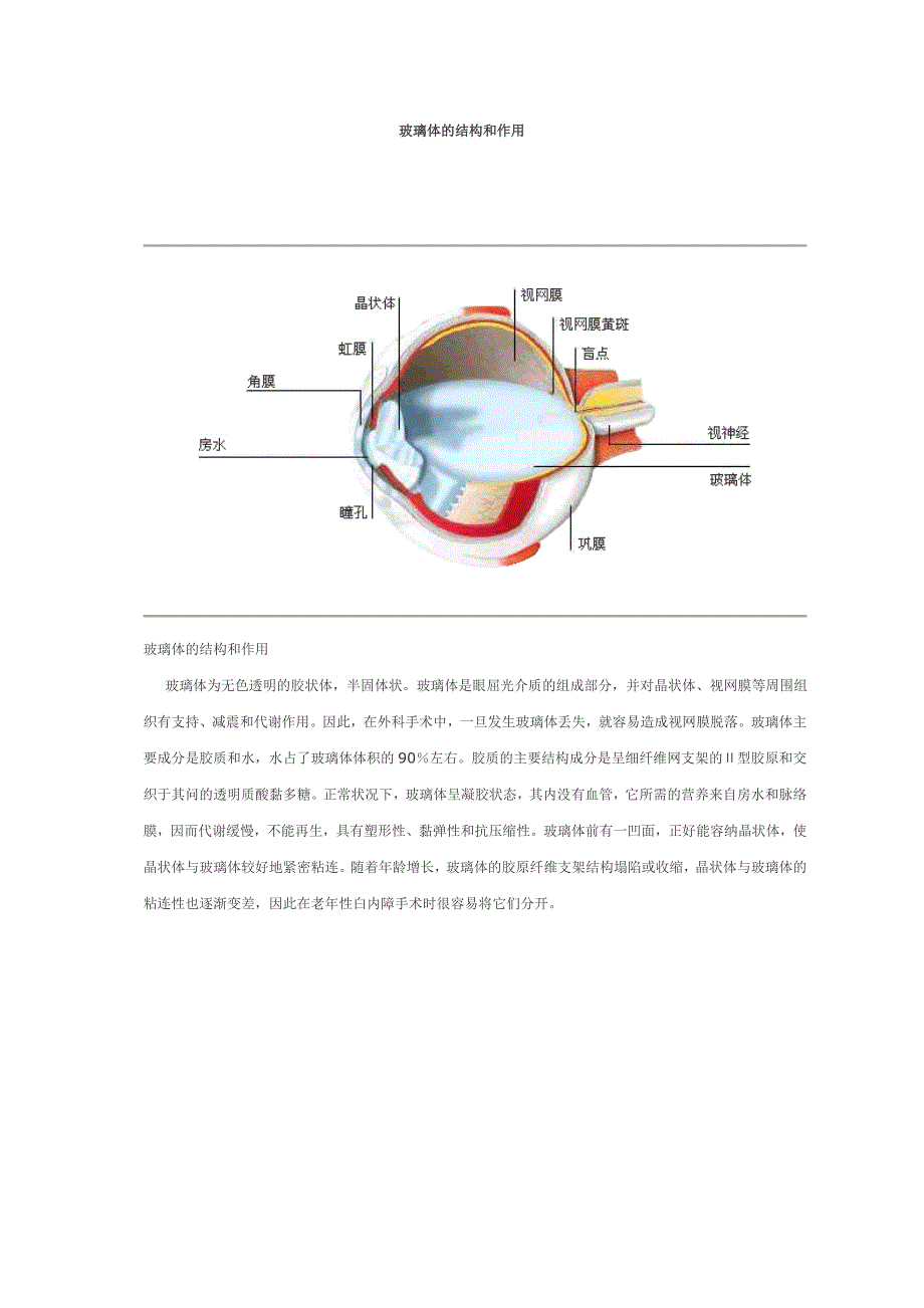 眼科文献——玻璃体的结构和作用_第1页