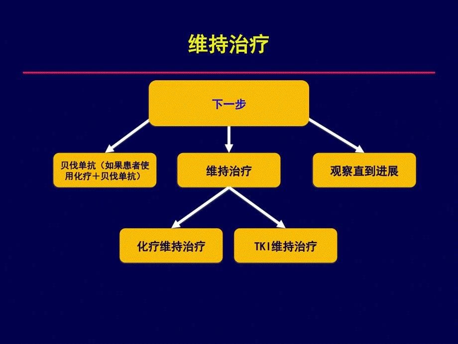 晚期非小细胞肺癌维持治疗_第5页