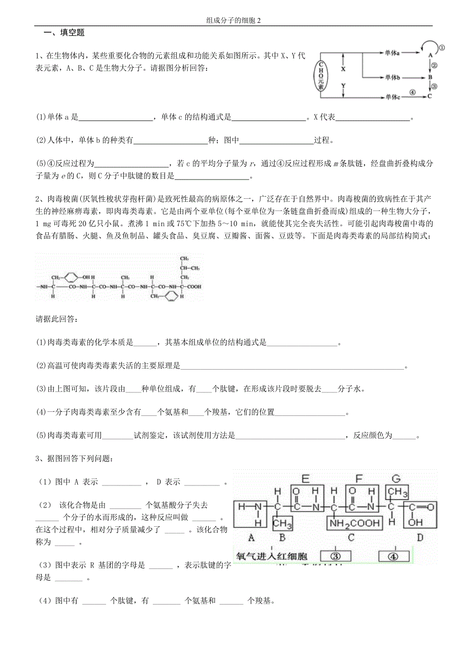 组成分子的细胞2_第1页