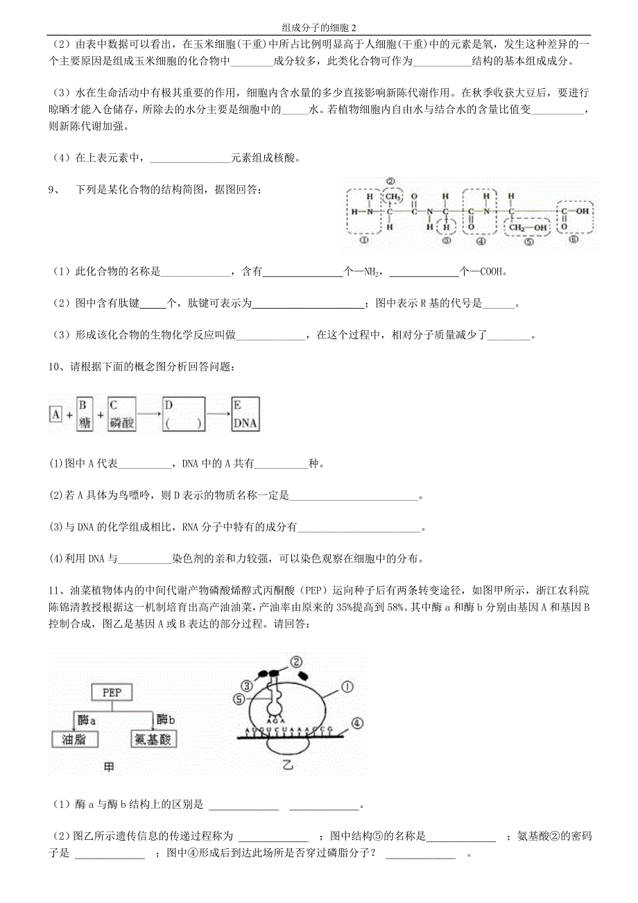 组成分子的细胞2_第4页