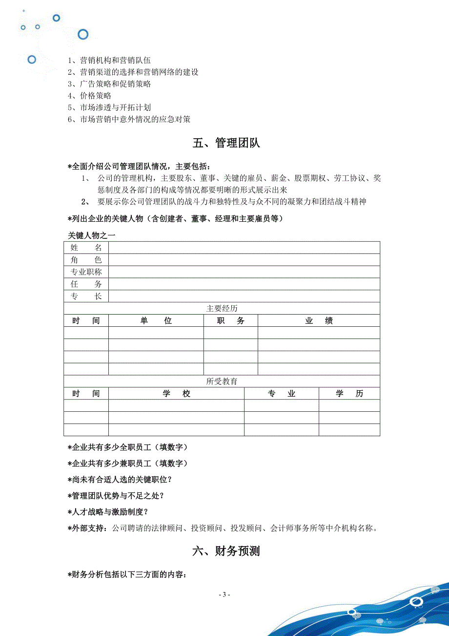 如何写项目计划书_第4页