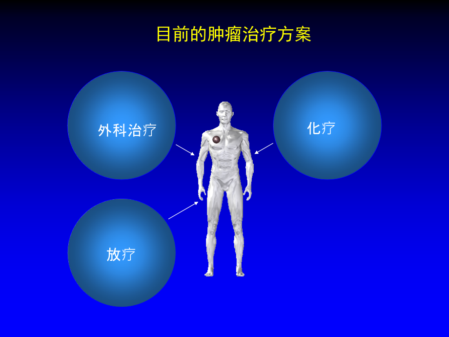 肿瘤免疫治疗与免疫调节剂在转移性黑色素瘤治疗中的应用_第2页