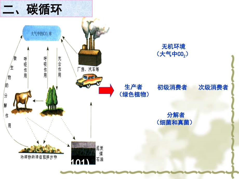 生态系统的物质循环上课_第3页